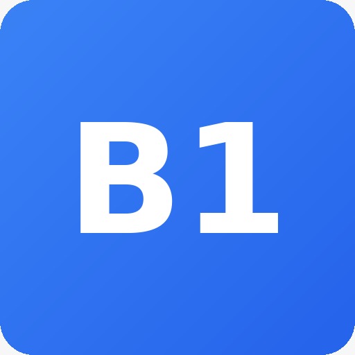 B1 Bridge